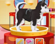 Petz Fashion online
